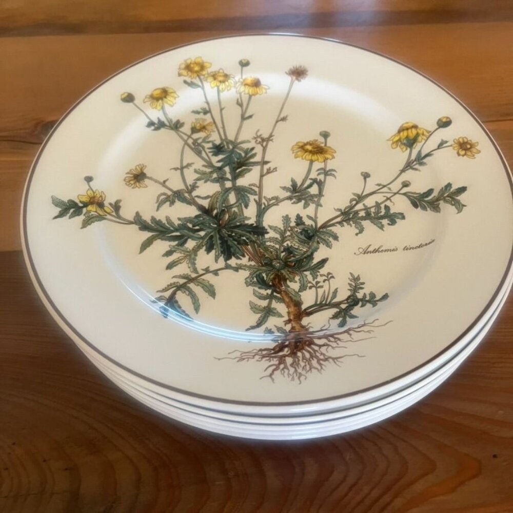 2 Villeroy & Boch Botanica Anthemis Dinner Plates 10.5" With Roots Cottage Core